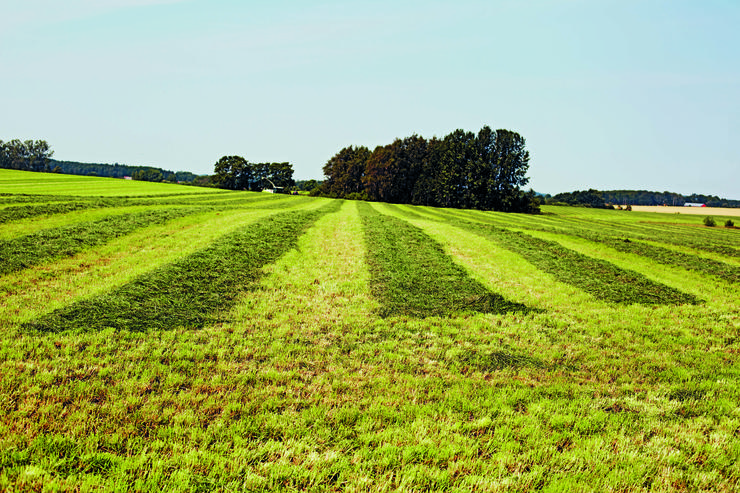 Vallskörd på Wapnö Gård